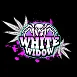 WhiteWid0wPL